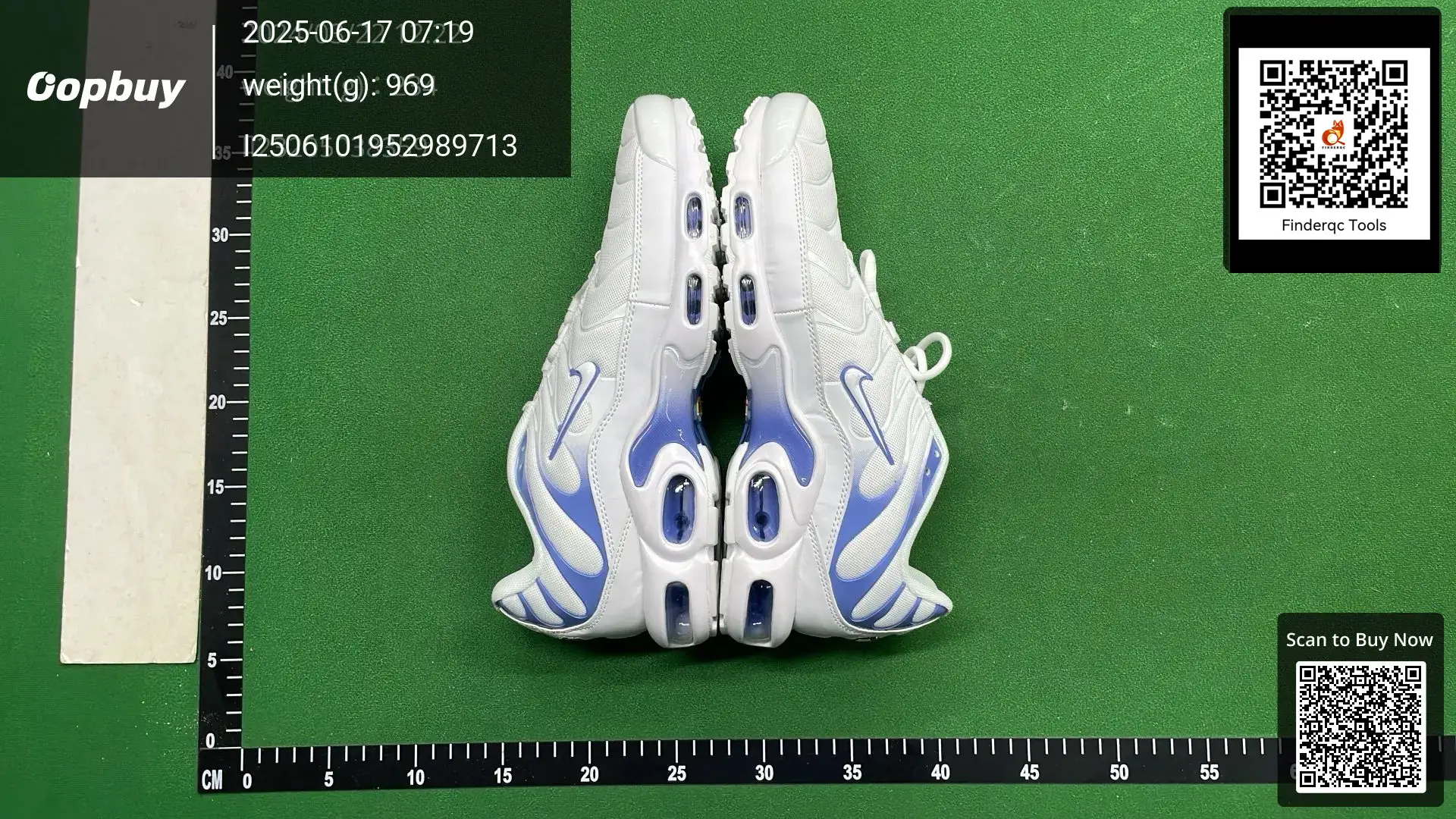 Nike Air Max Plus White Blue