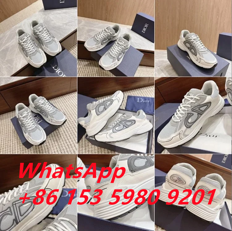 Dior sneakers