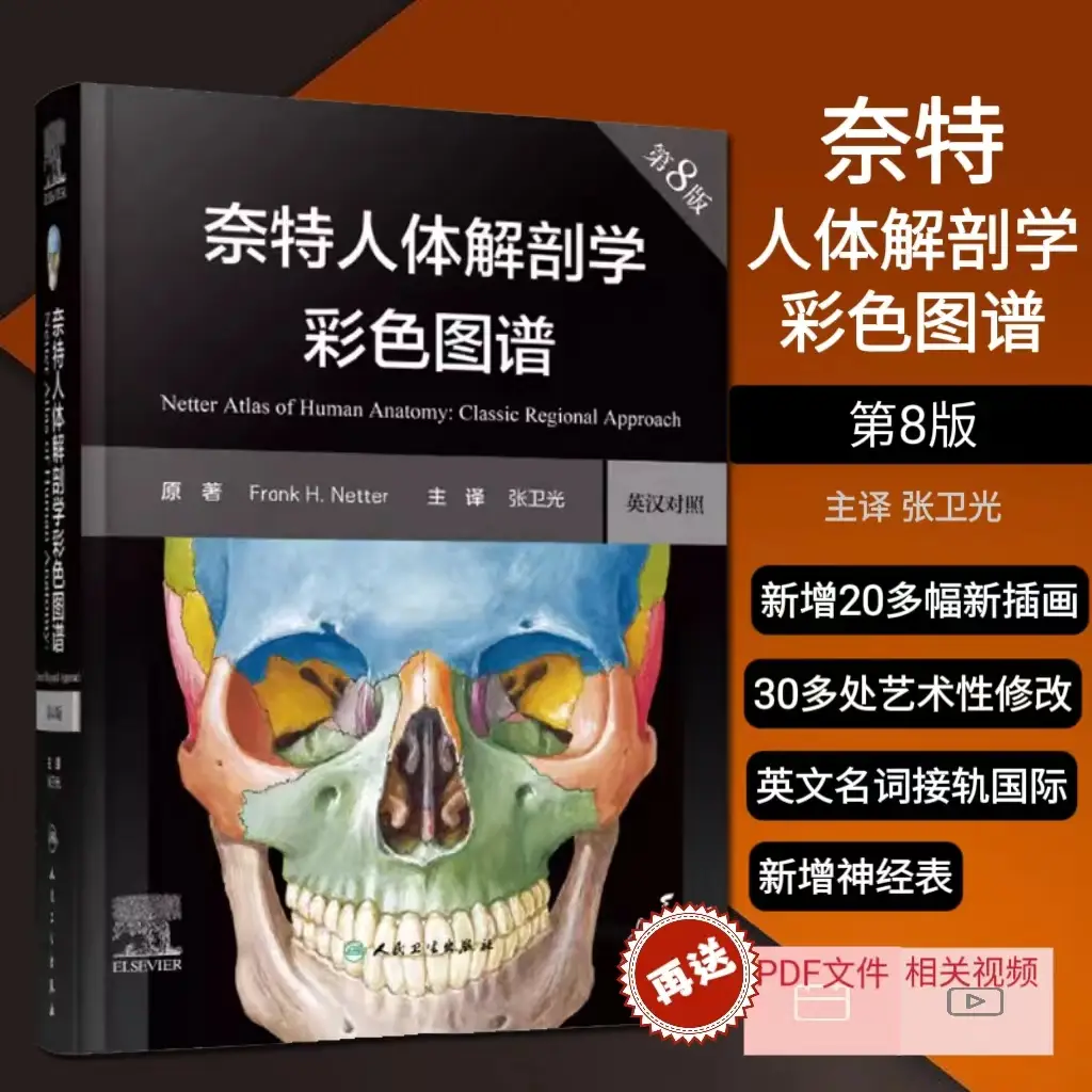 Knight's Atlas of Human Anatomy 8Th Edition Human Health Color Local Knight System Grignard Bone Structure Neurology Clinical Comfy Basics Textbook Physiology Surgery Internal Medicine Forensic Anatomy Anatomy Medical Books Anatomy Atlas