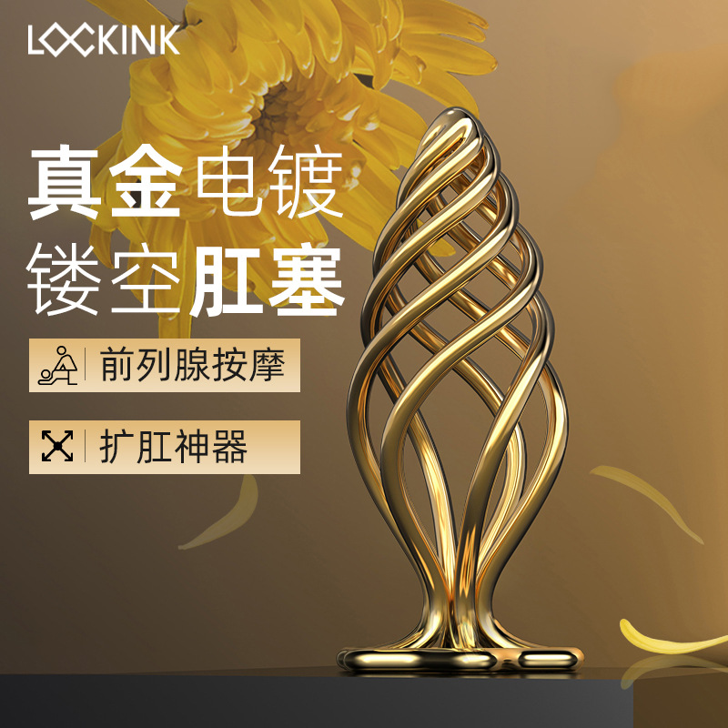 Lockink Metal Passion Anal Plug Metal Men's Products Backcourt Toy Anal Chrysanthemum Masturbation Device Gay
