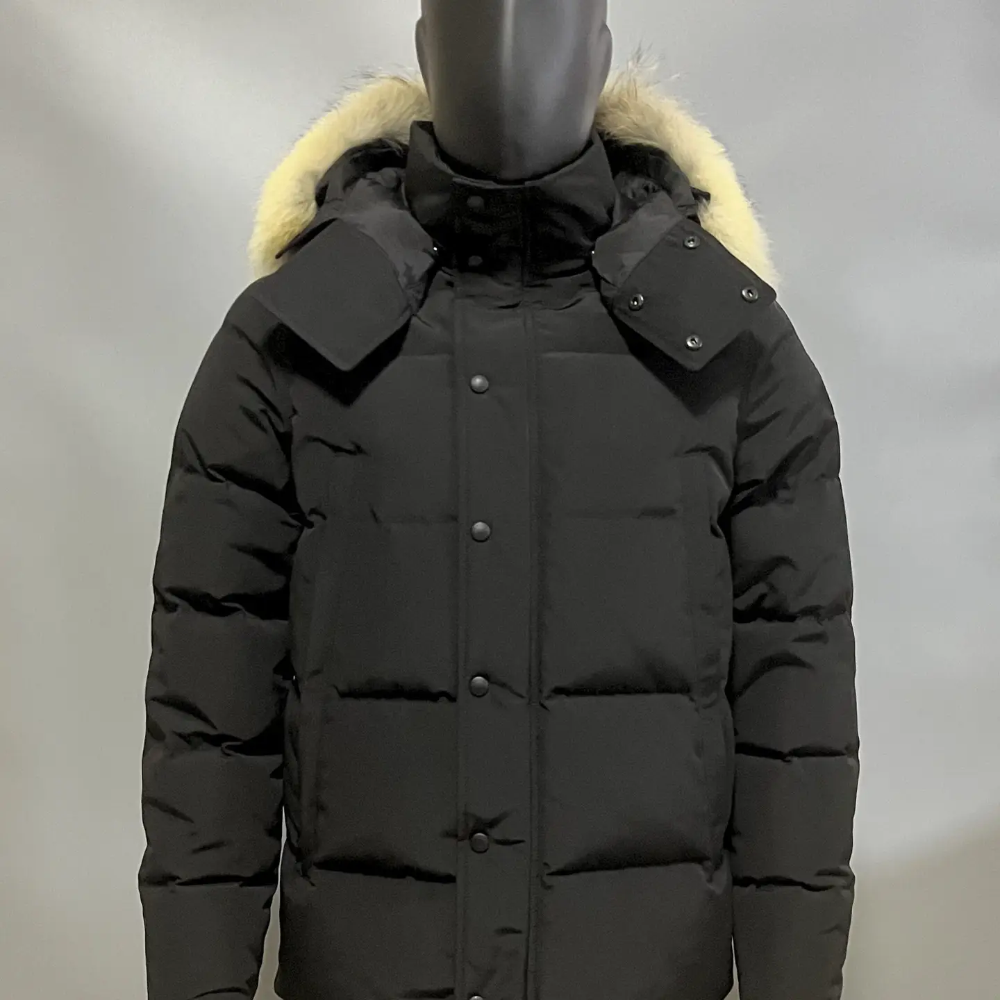 Canada Goose Arctic Program Parka