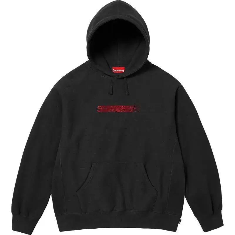LOGO HOODED SWEATSHIRT E566