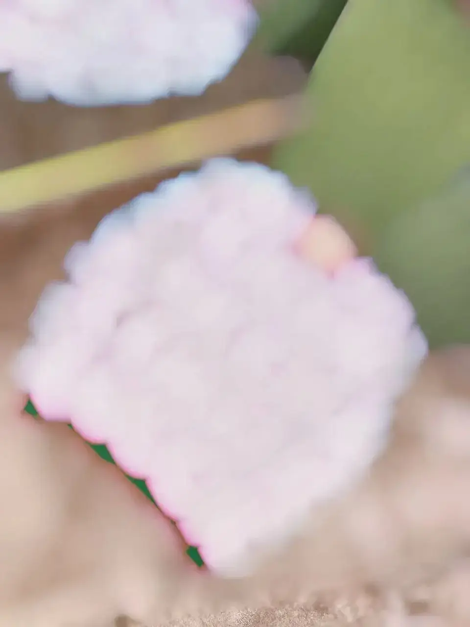 古 满logo绿色毛衣