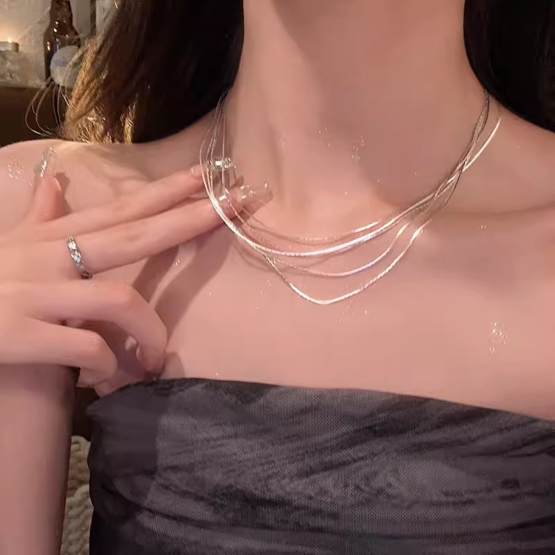 Multi-Layered Tassel Snake Bone Chain Jewelry Metal Necklace for Women, French Minimalist Style Choker, Light Luxury Accessory for Collarbone