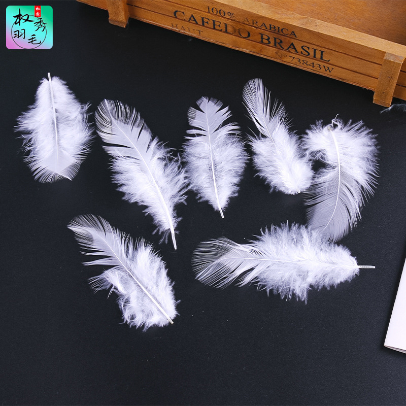 Factory wholesale shellfish hair white pointed feather diy handmade jewelry accessories Crafts decorative clothing accessories