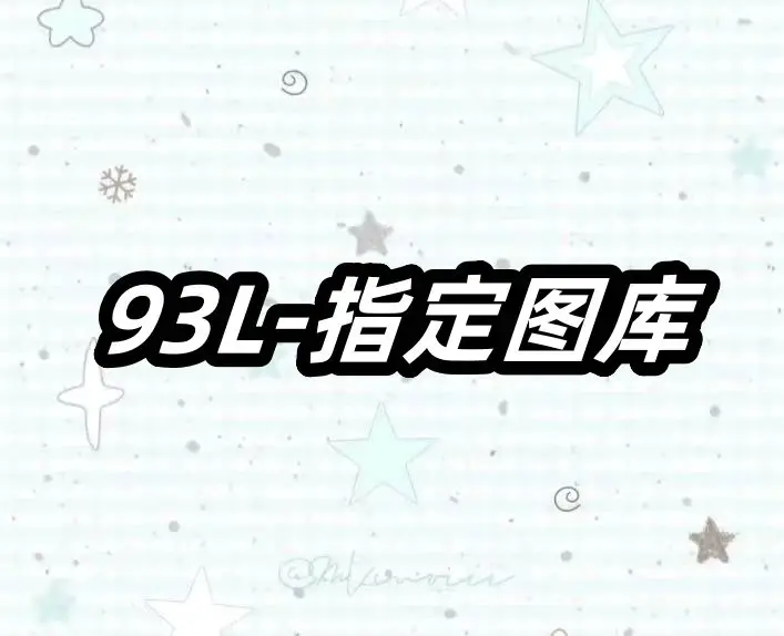 L25167-93L