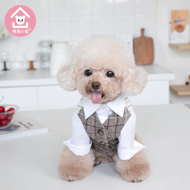 Weipet town autumn and winter gentleman vest coat pet clothes cat and dog clothing pet clothing Teddy clothes manufacturer
