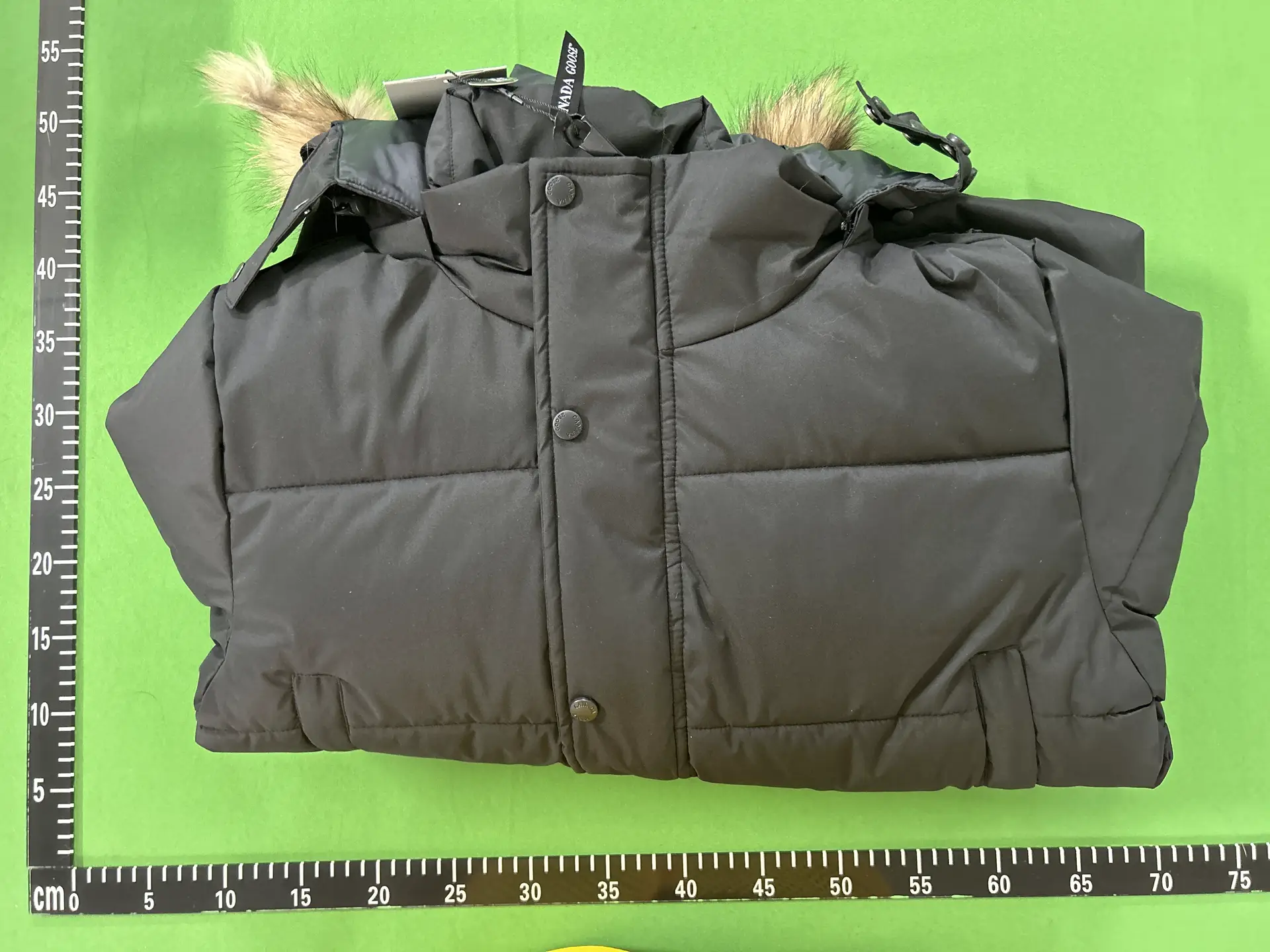Canada Goose Down Jacket Black