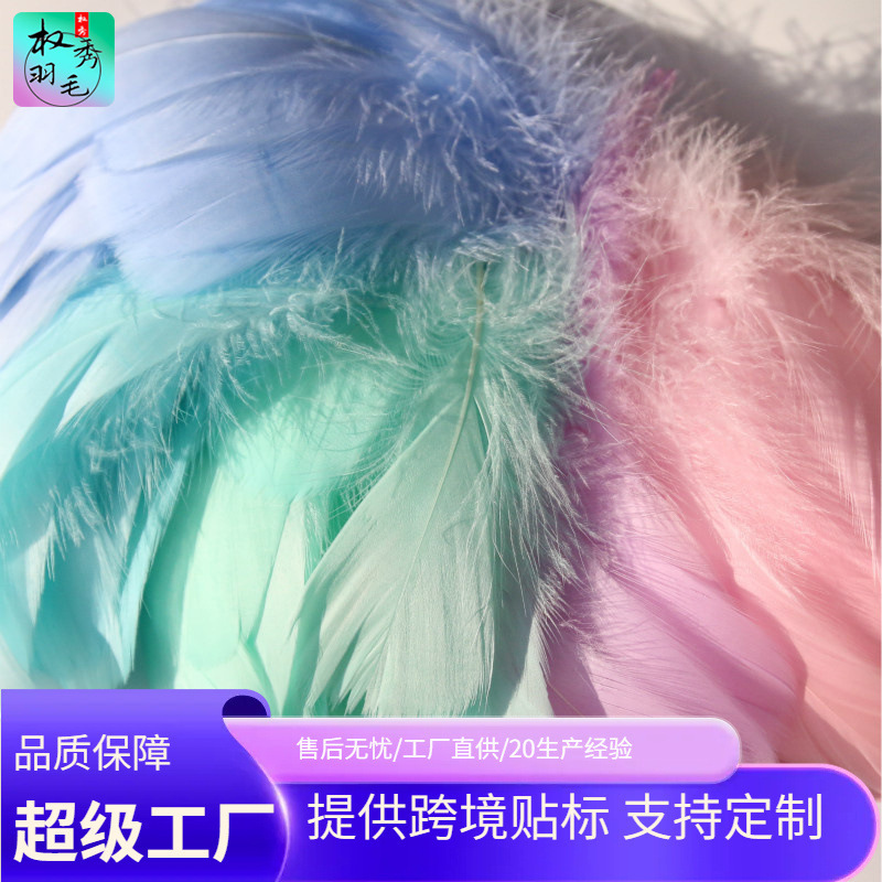 Macaron Color diy Decorative Feather Goose Feather Large and Medium Floating Feather Dreamcatcher Gift Box Decorative Handmade Feather