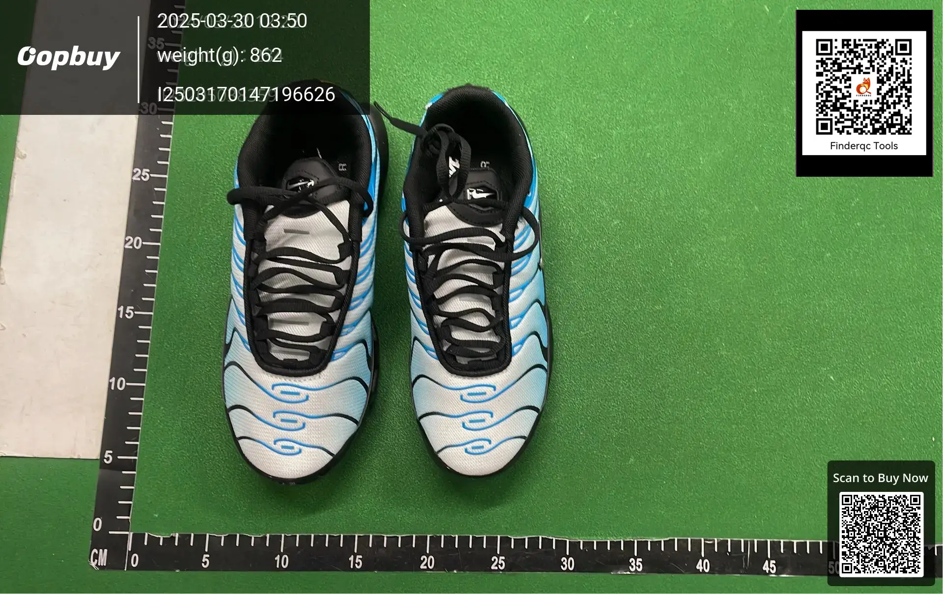 Nike Air Max Plus White Blue