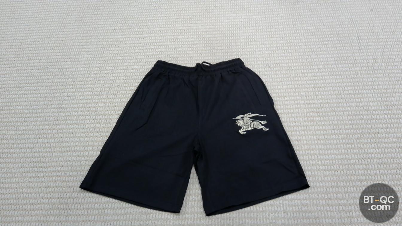 Burberry Clothing Sets QC