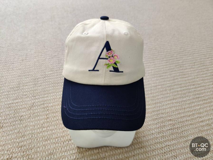 Aime Leon Dore Headwear QC