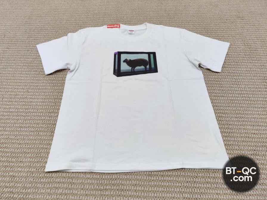Supreme Shirts QC