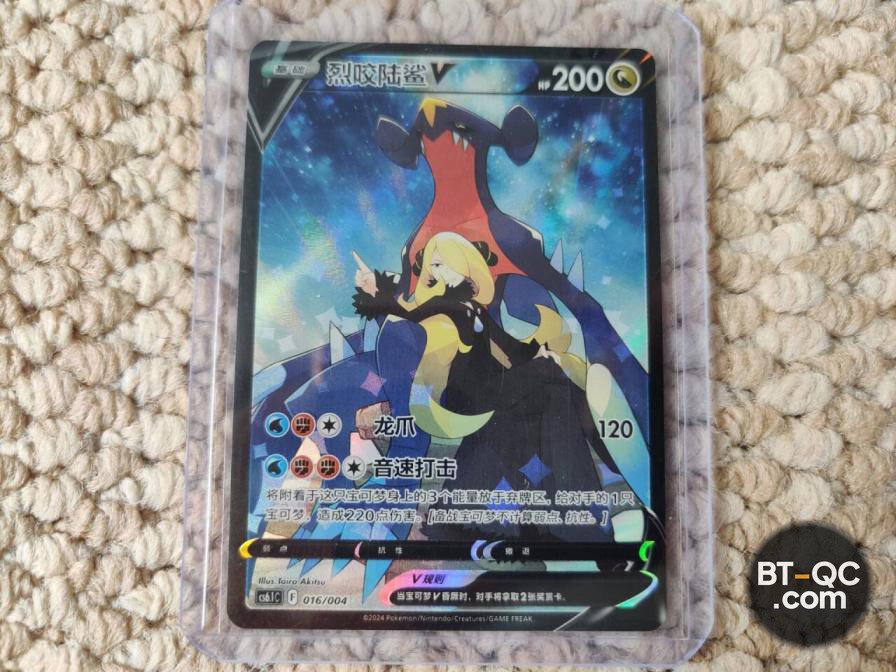 Pokemon Accessories QC