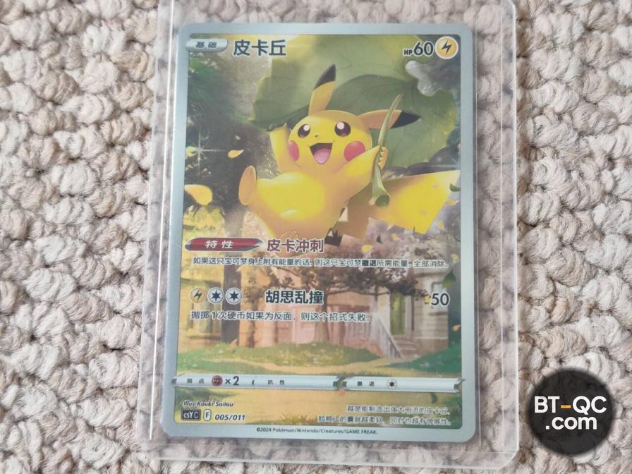 Pokemon Accessories QC
