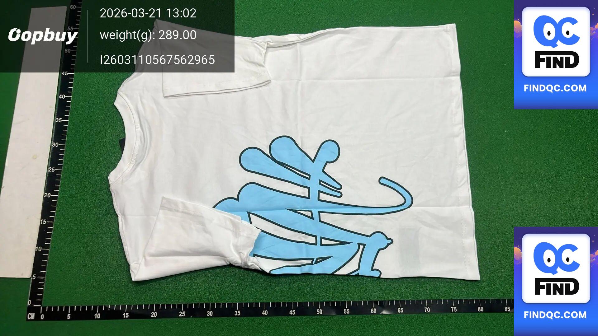 Synaworlddrill Printed Short-Sleeved T-Shirt and Shorts Men's Summer Trendy Casual Sports Suit Casual and Versatile QC
