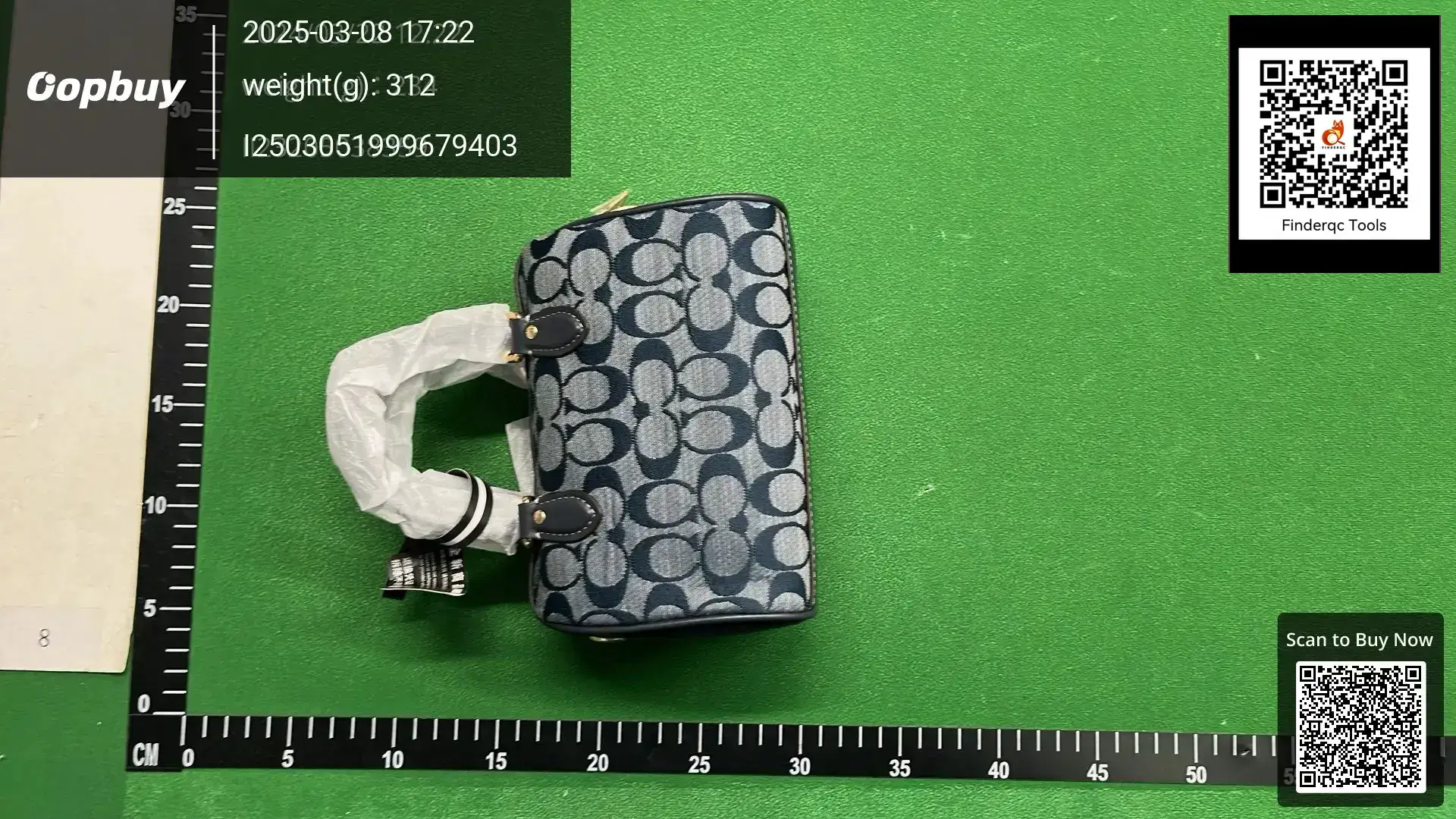 Coach Signature Mini Pillow Bag