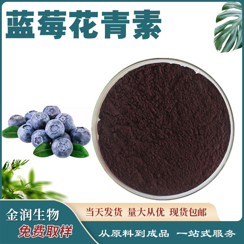 Blueberry Anthocyanins, Blueberry Extract, Bilberry Extract, Anthocyanins 100G/Pack, Large Quantity Available in Stock