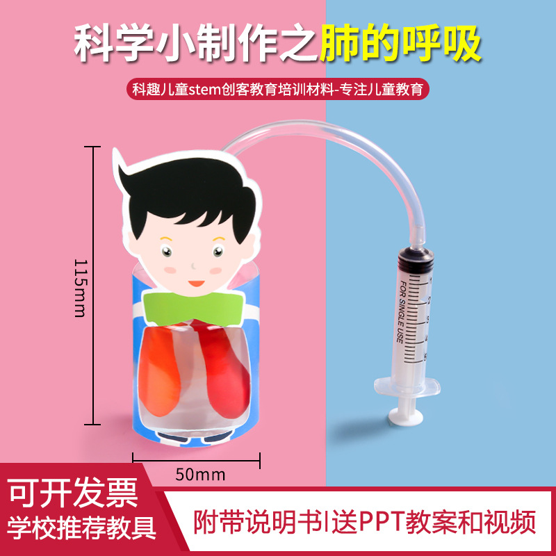Scientific Experiment Kindergarten Diaphragm Movement Model Teaching Aware Simple Simulation of Human Lung Respiratory Movement Student Manual