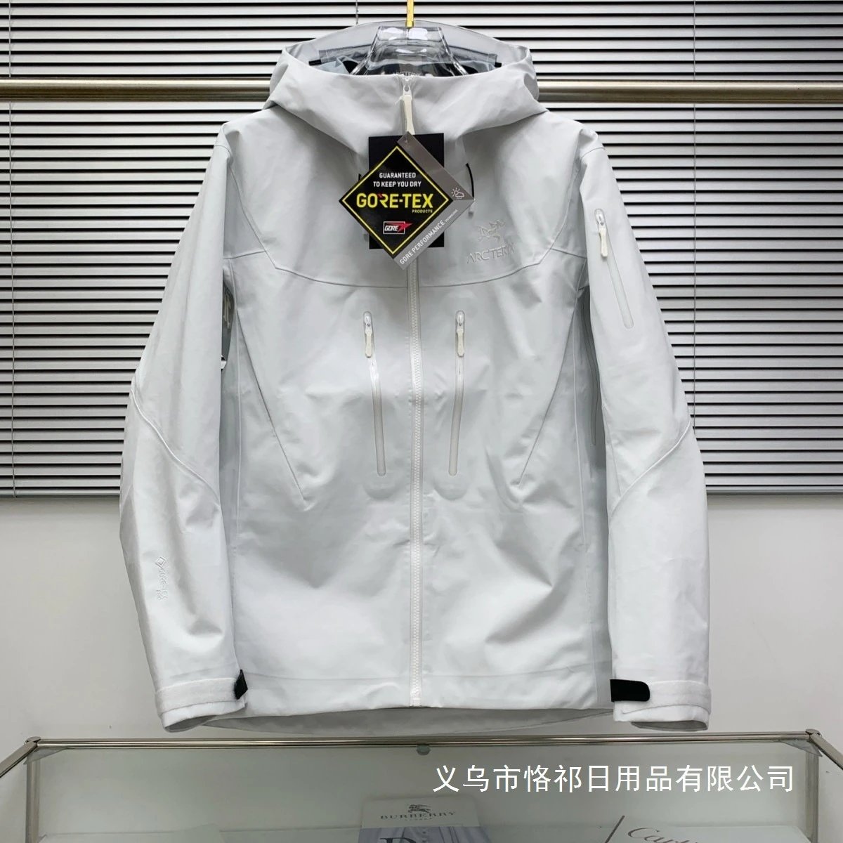 ARC'TERYX GORE-TEX Jacket