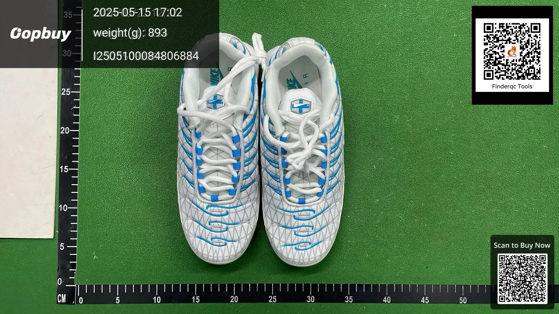 Nike Air Max Plus White Blue