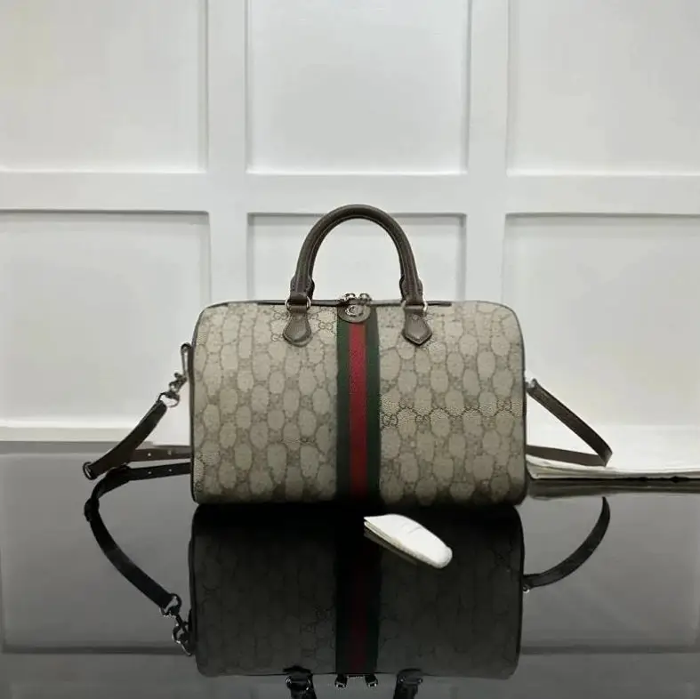 P580A(836824-1)W31xH20xD16.5cm