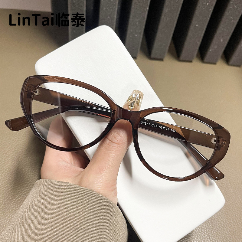 TR30271 new vintage fashion cat's eye glasses trendy slimming anti-blue light glasses personalized European-style glasses frame