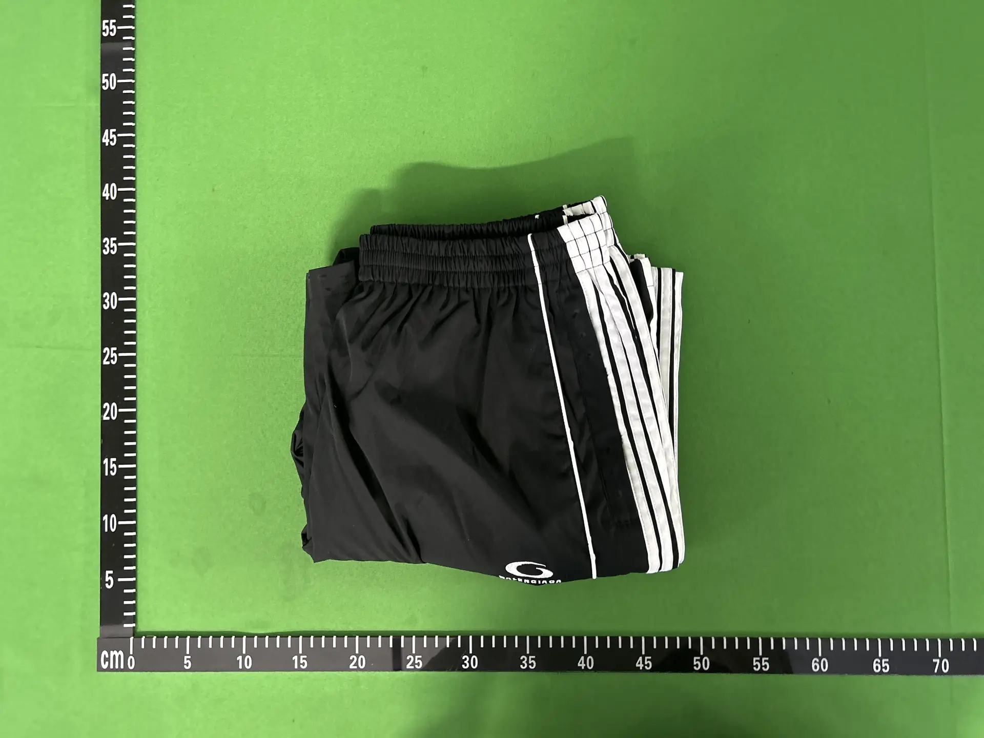 Balenciaga Embroidered wide-legged pants