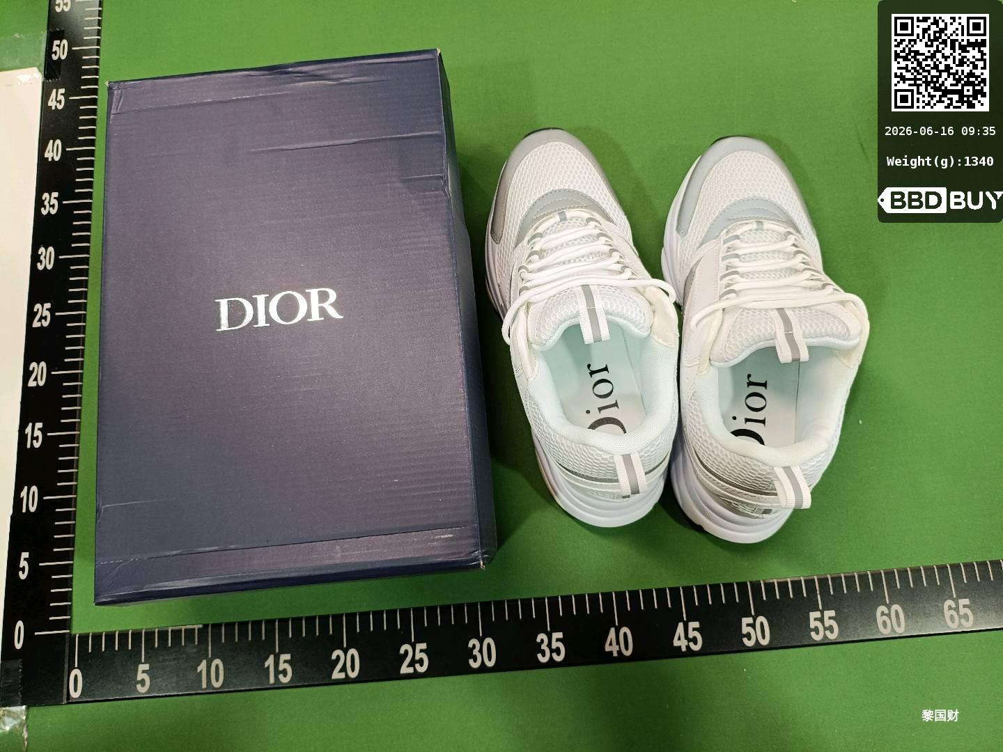 Dior B22 Sneakers QC
