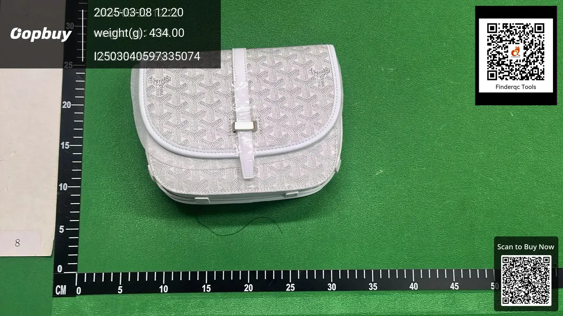Goyard Sac Mini Flap Bag White