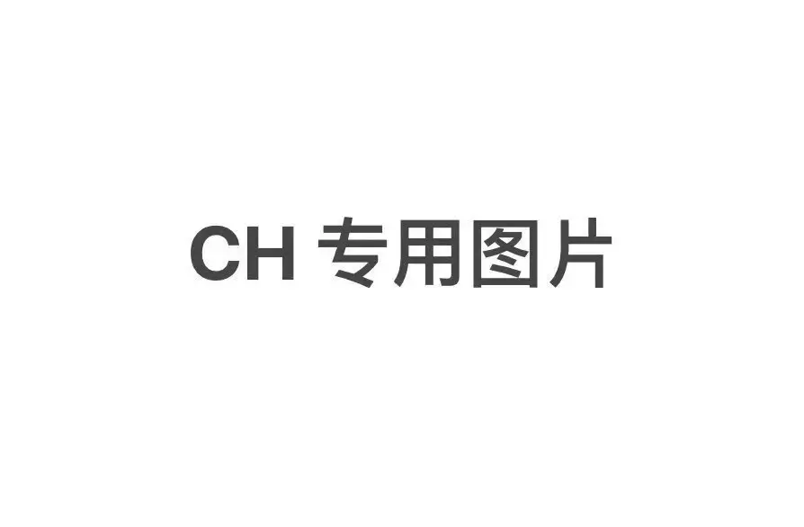 CH 104号 拉链外套