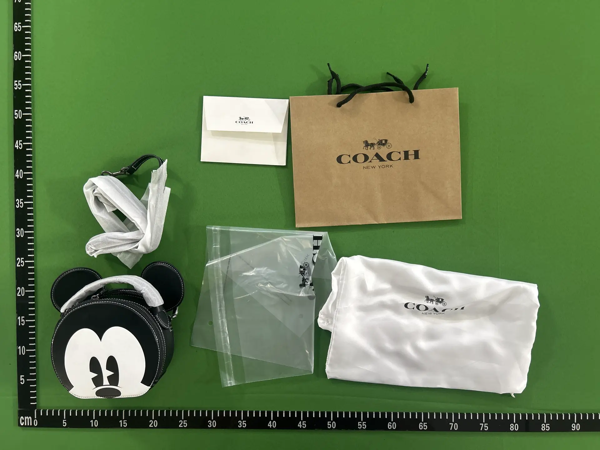 Coach X Disney Mickey Mouse Canteen Bag Black
