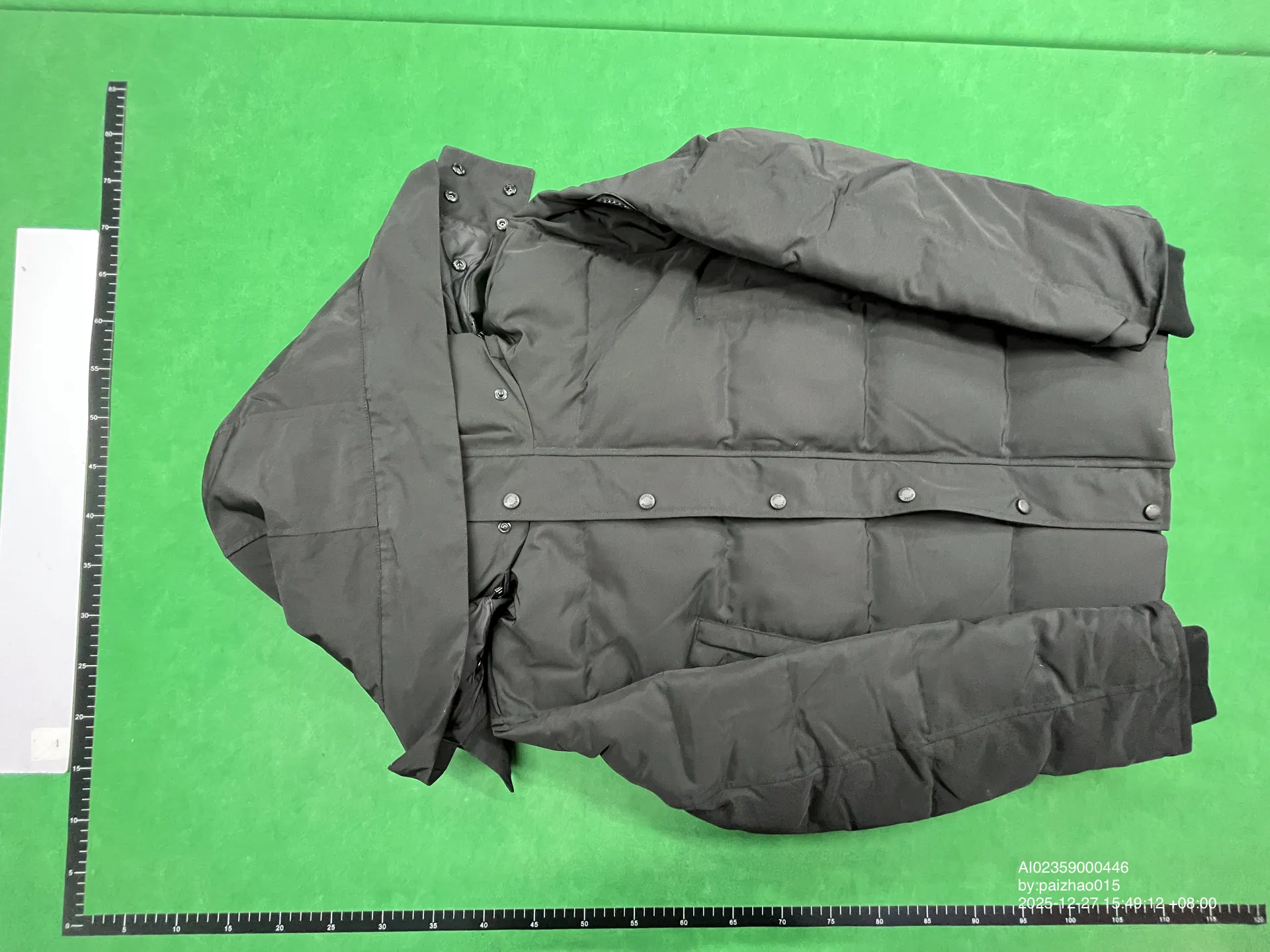 Canada Goose Down Jacket