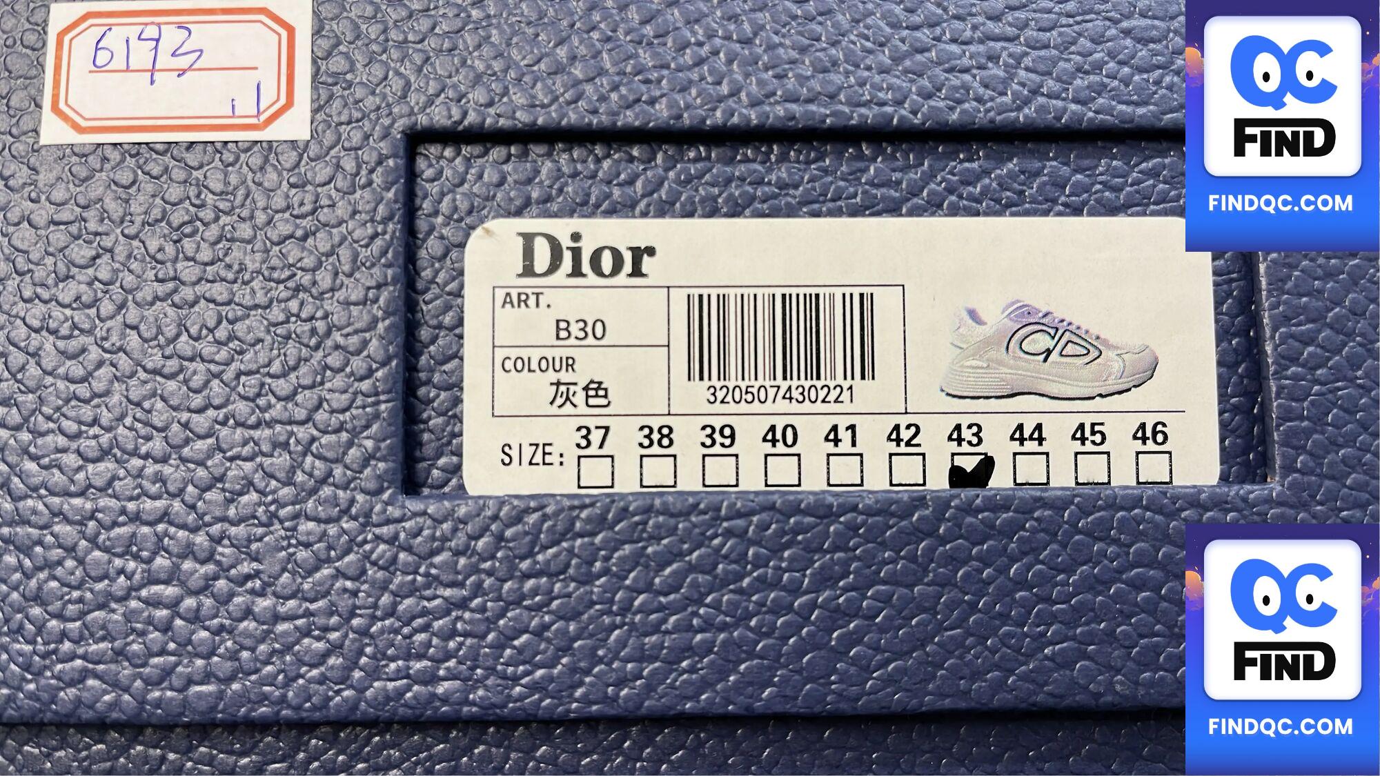 Dior B30 Shoes QC