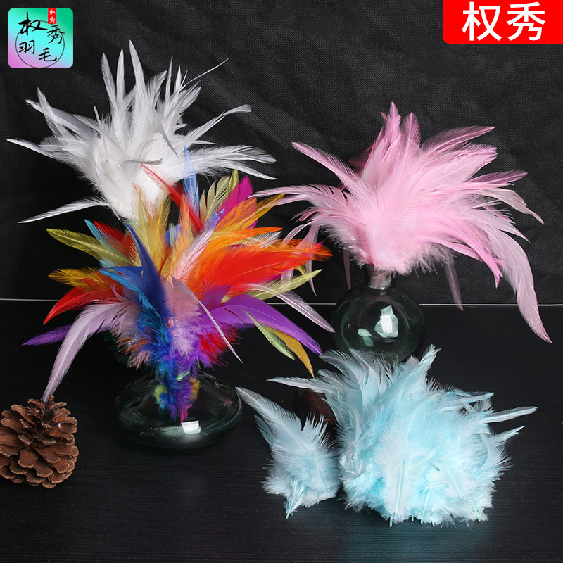 Factory wholesale diy color feather 200.00 cm-266.66 cm inch white pointed feather feather accessories dream catcher clothing decoration