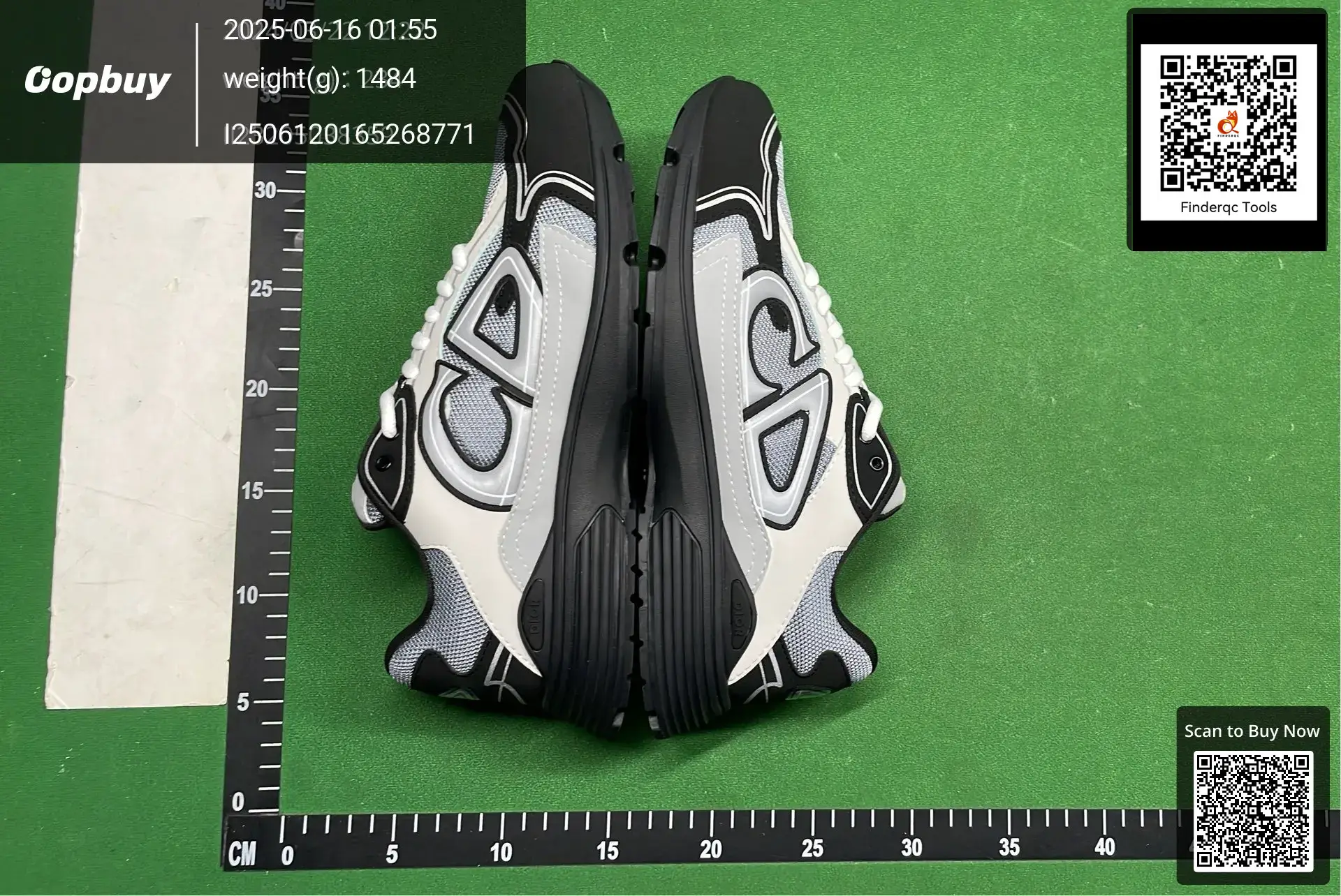 Dior B23 sneakers black white