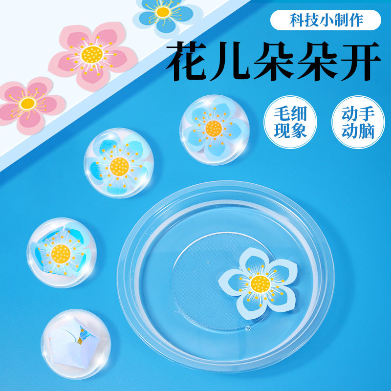 Flowers Blooming Science Experiment DIY Handmade Science and Technology Teaching Aids Material Kit for Primary School Students