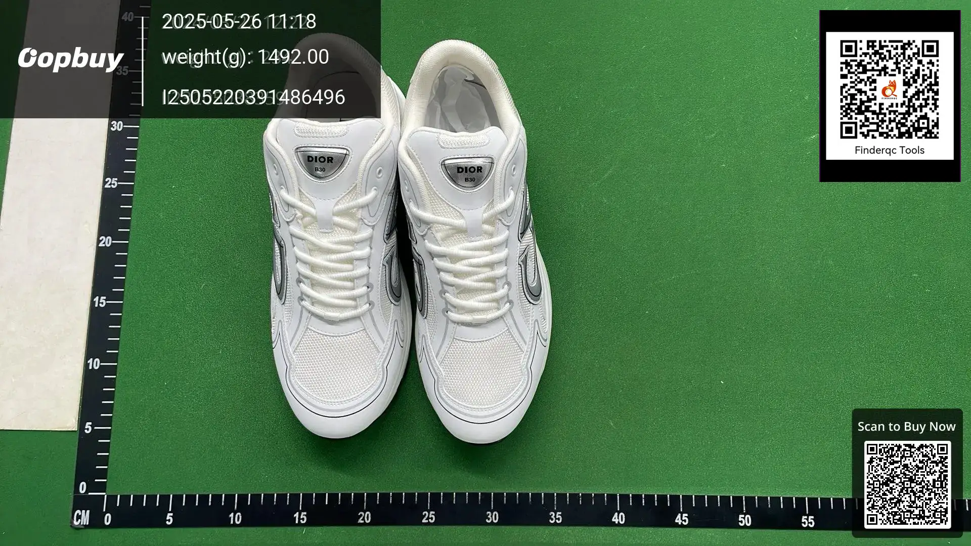 Dior B30 Sneaker White