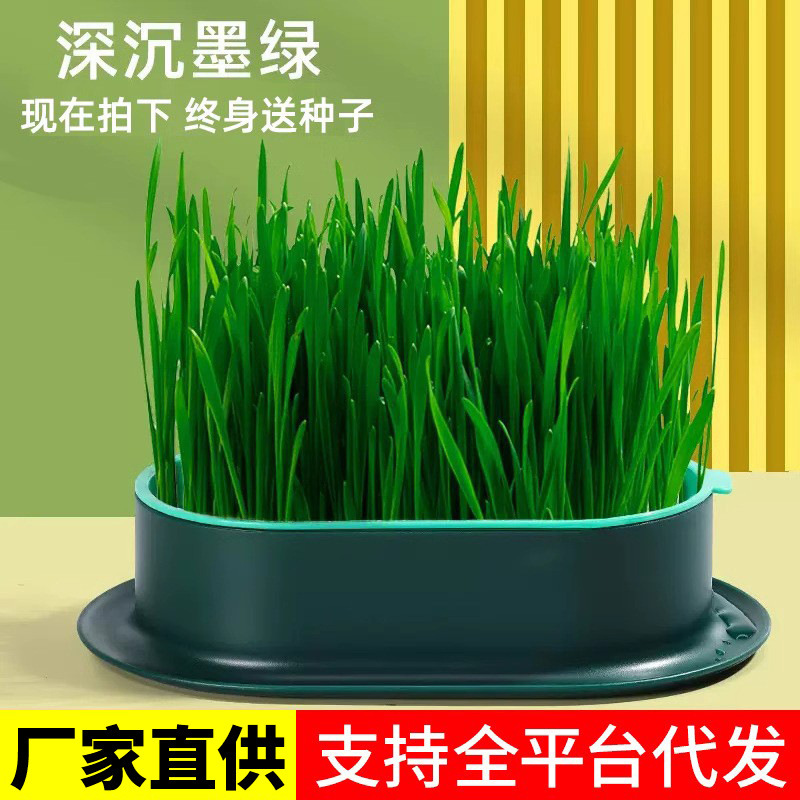 Pet Snacks, Potted Cat Grass with Seed Tray, Lazy People Planting Soilless Hydroponic Cat Grass, Cat Hair Pet Supplies
