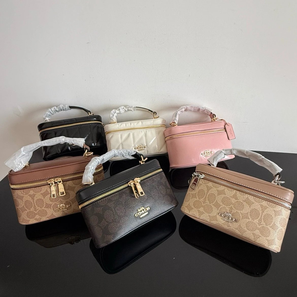 Coach Vanity Case