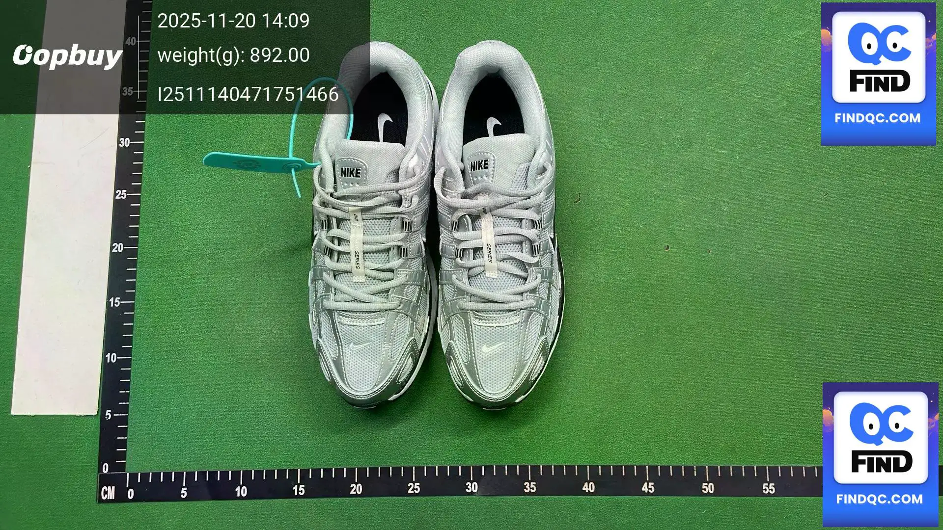 Nike P6000 Metallic Silver
