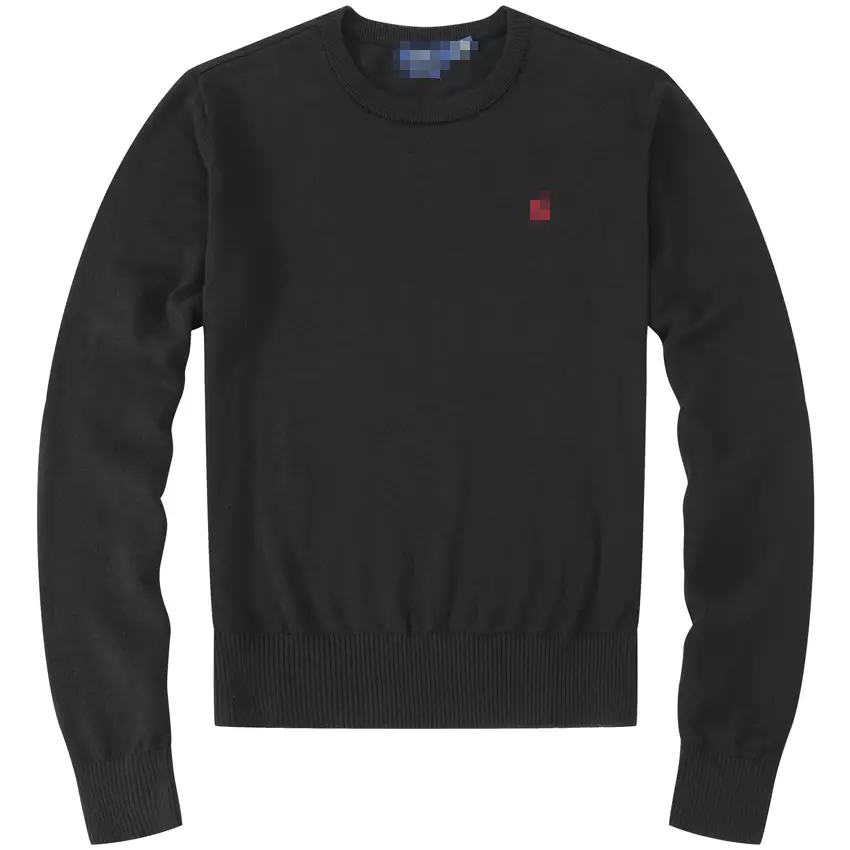 Spring and Autumn men's sweater cotton knit sweater bottoming men's round neck thin long-sleeved business casual pony labeling