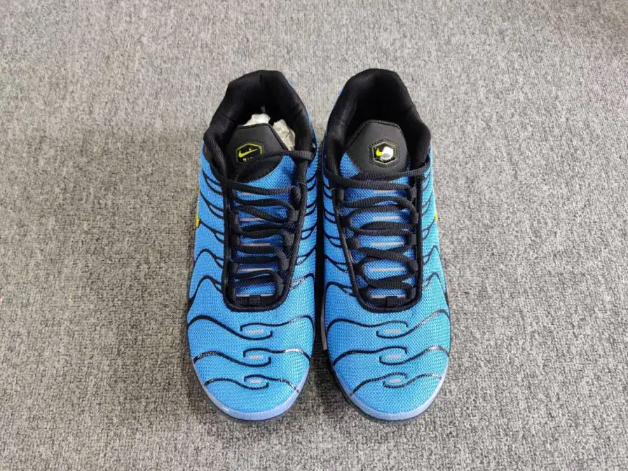 Nike Air Max Plus Blue