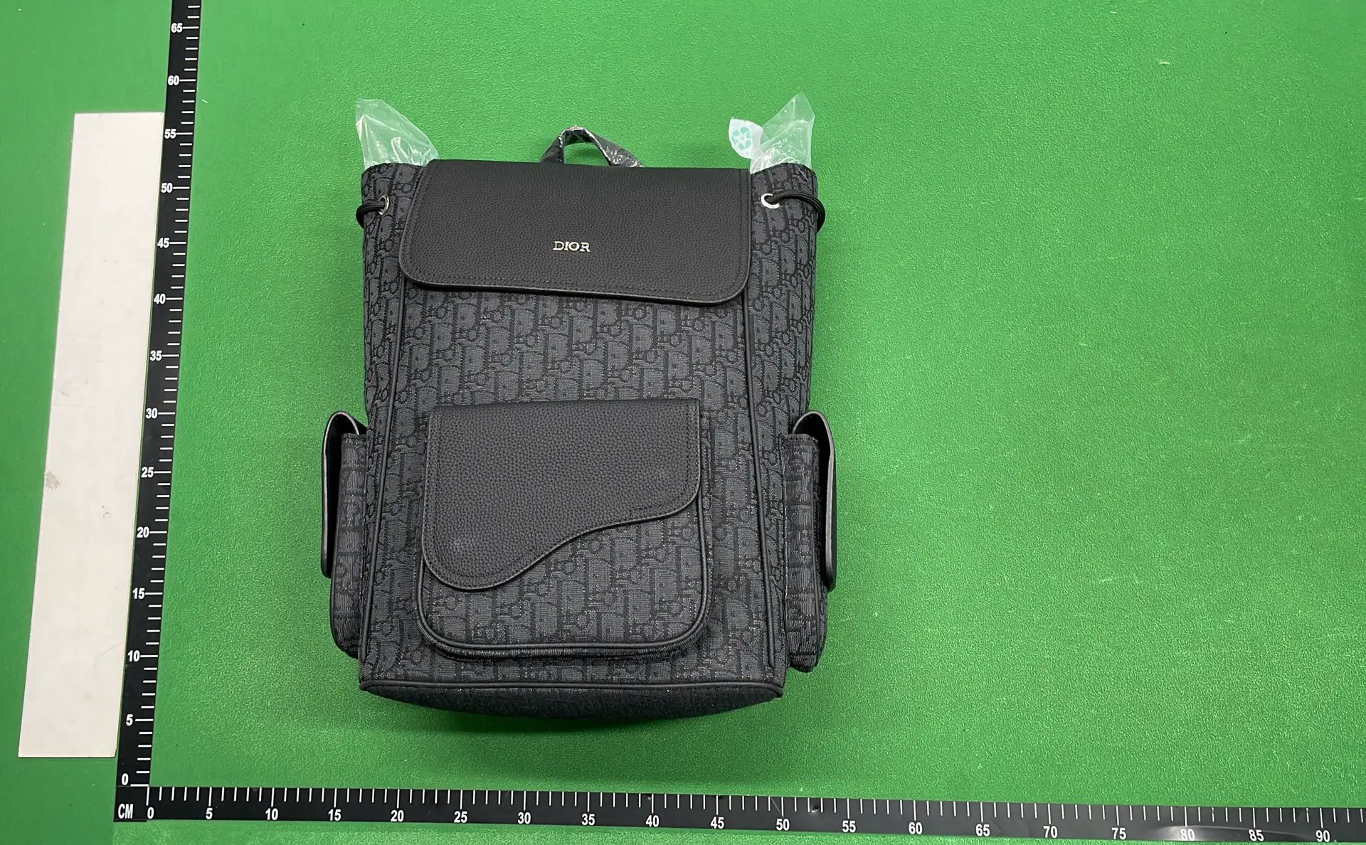 Dior Backpack Black Oblique Canvas
