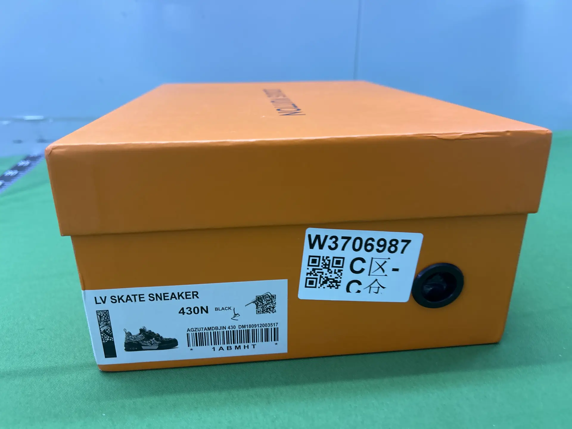 Louis Vuitton LV Skate Sneaker Black