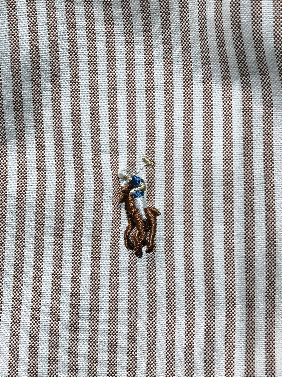 Polo Ralph Lauren Striped Oxford Cotton Shirt — foto QC 3