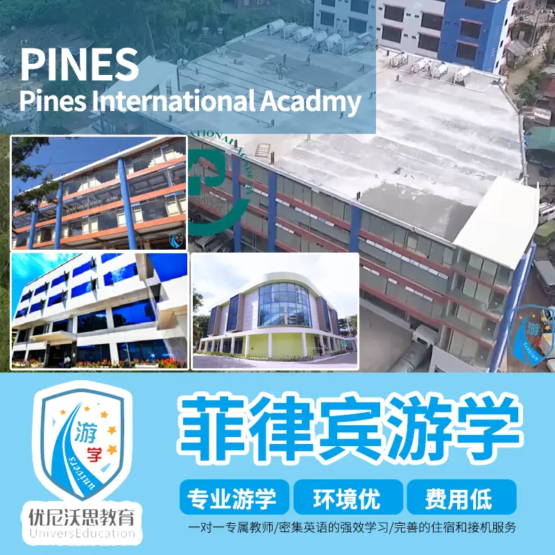 Philippines Study Tour Pines Spartan English Originator Ielts Toefl Baguio Study Tour One-On-One Online Class