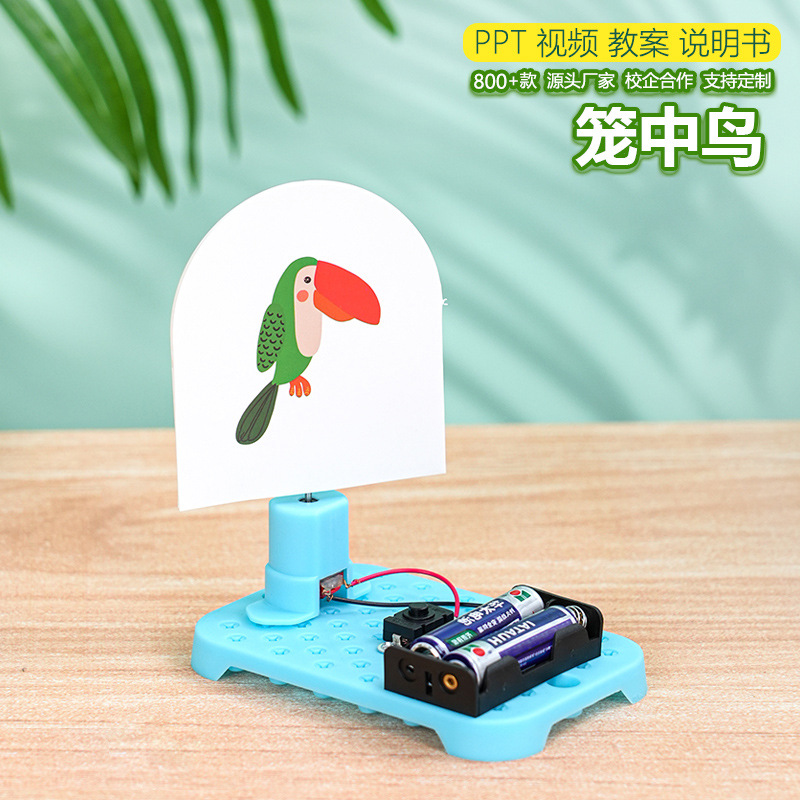 Electric cage bird technology small production handmade homemade DIY students invented visual stay puzzle science experiment