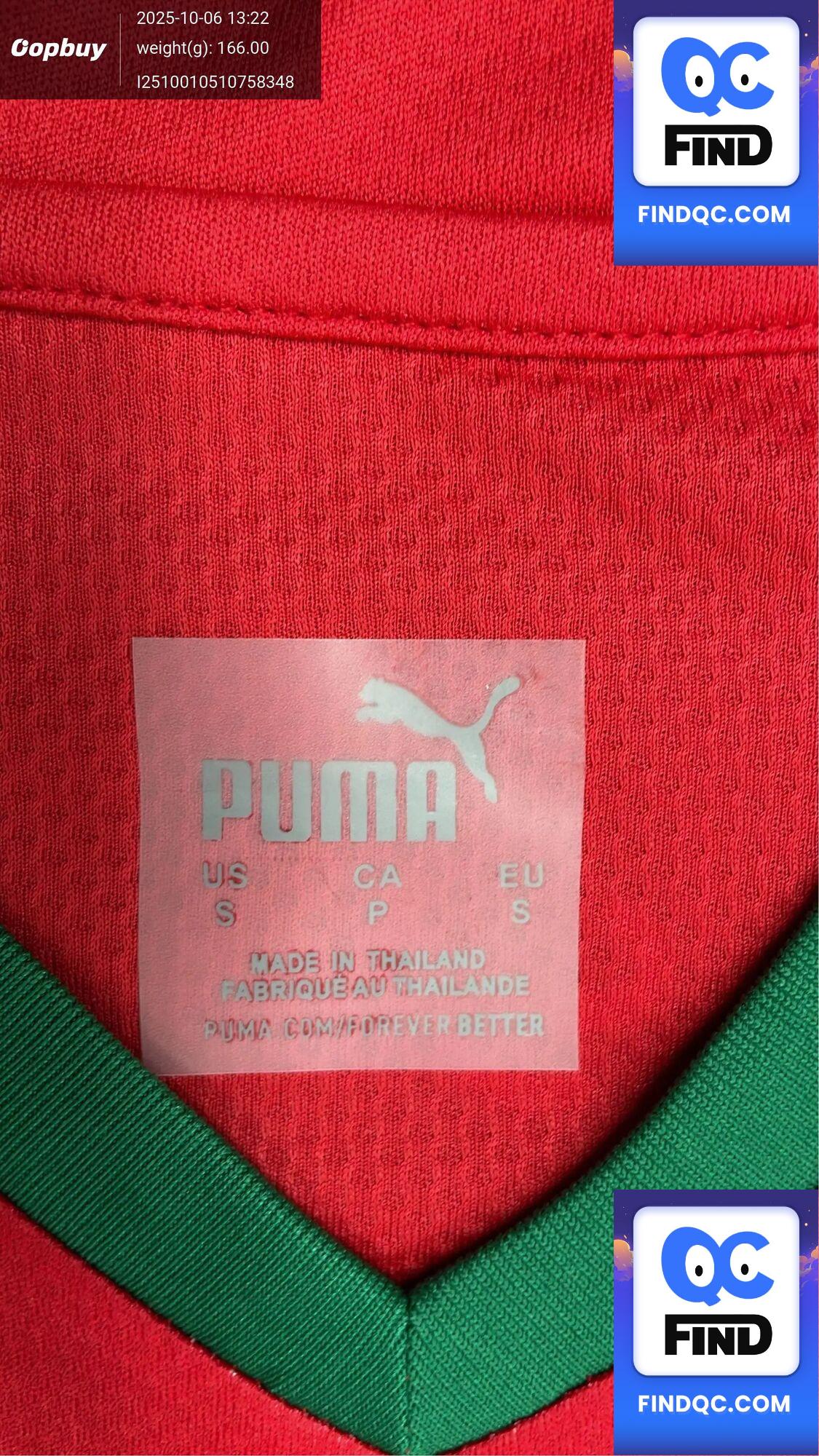Puma Morocco National Team Soccer Jersey QC