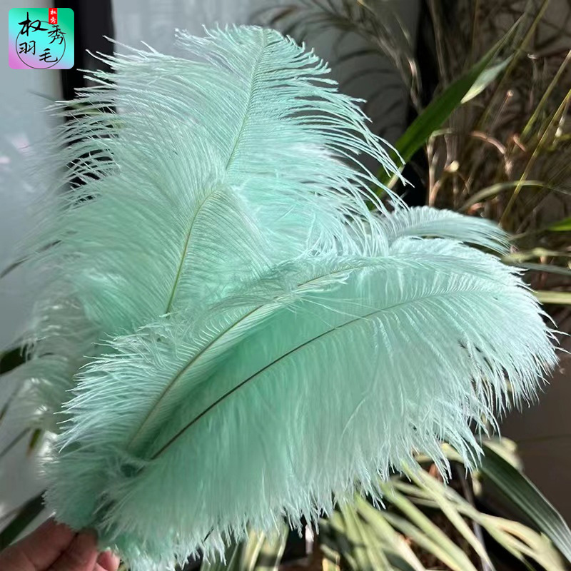 Factory Direct Sales 35-40cm Ostrich Feathers DIY Feathers Wedding Feathers Stage Home Window Decoration Feathers